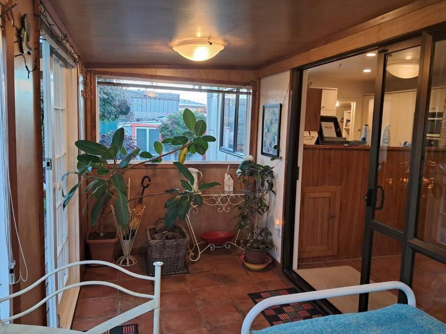 Secret Cottage Waitara 外观 照片