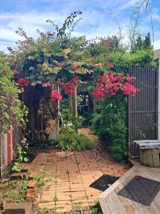 Secret Cottage Waitara 外观 照片