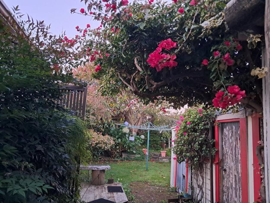 Secret Cottage Waitara 外观 照片