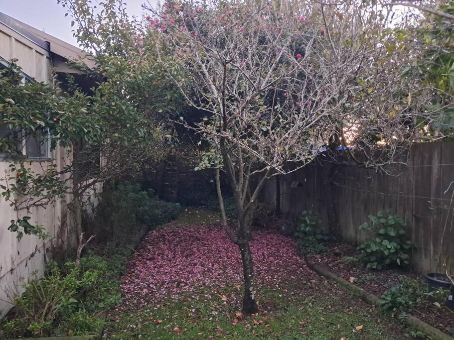 Secret Cottage Waitara 外观 照片