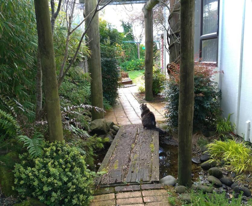 Secret Cottage Waitara 外观 照片