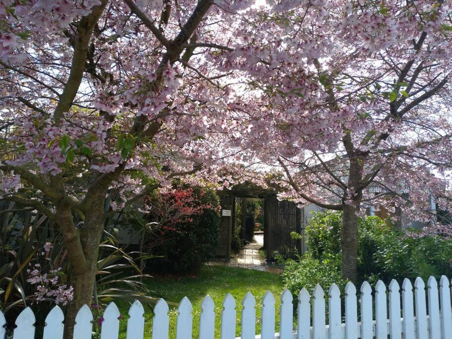 Secret Cottage Waitara 外观 照片